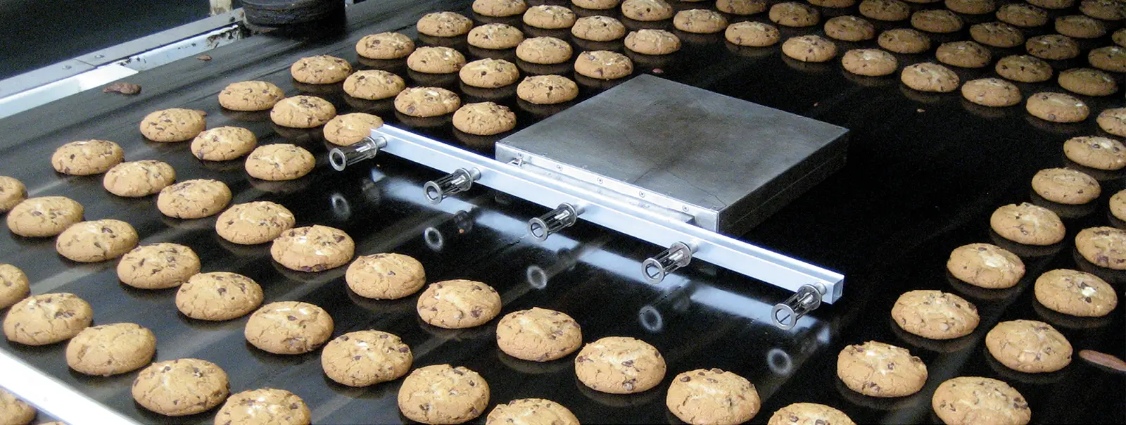 Digital Air Velocity Sensor Array