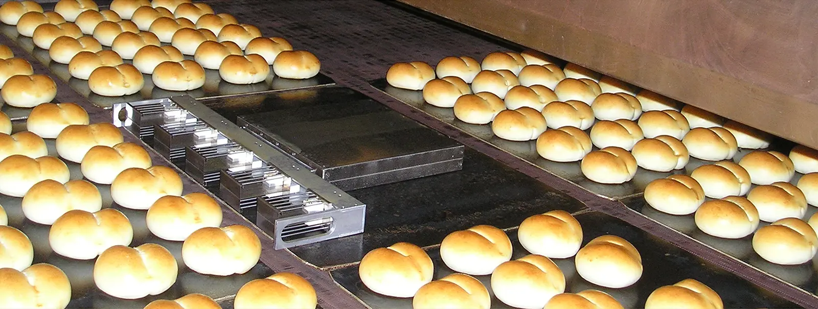 Temperature Sensor Array